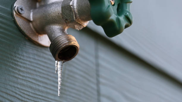 Best Shower Repair Services  in Huntley, IL